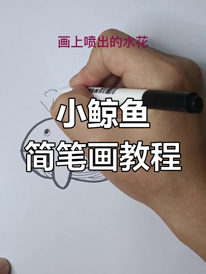 轻松学画小鲸鱼，简单又有趣