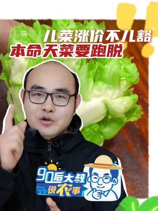 儿菜!比肩豌豆尖的四川人心头爱!但今年儿菜有点儿贵,单要“儿”8元一斤,“妈带儿”也要5元