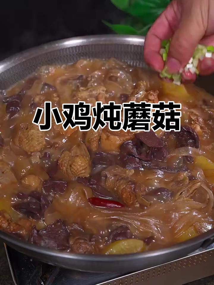 东北经典小鸡炖蘑菇,软烂鸡肉配鲜香蘑菇,家常下饭新风味