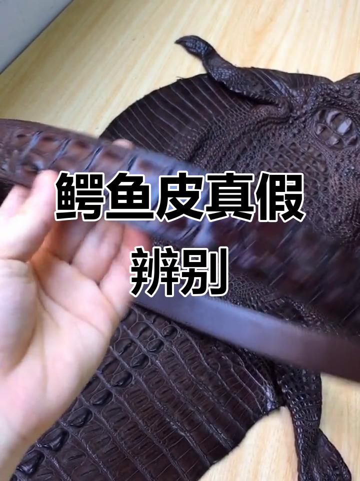 鳄鱼皮真相大揭秘，别轻信陌生人，质量才是关键！