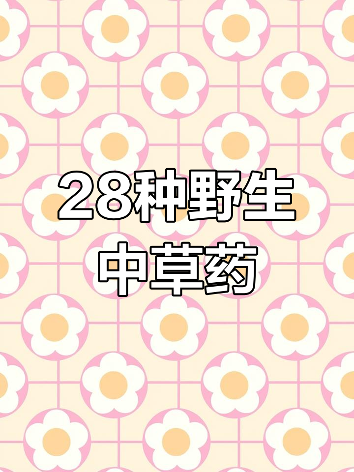 野外二十八种常见中草药,探秘大自然的药库