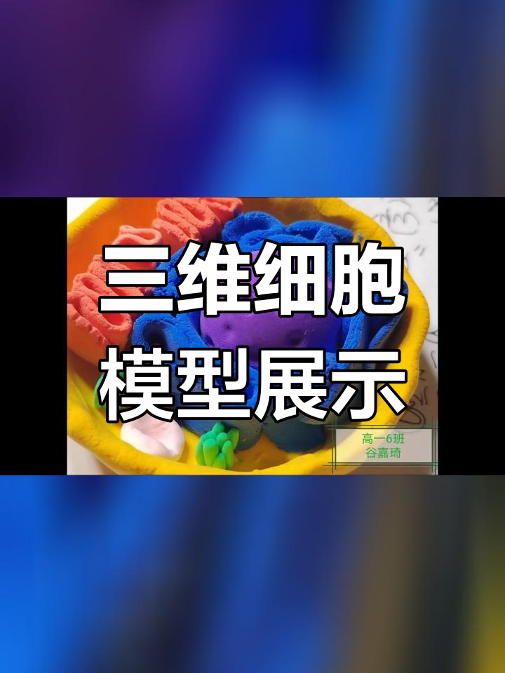 探索真核细胞的三维结构,指尖上的微观世界