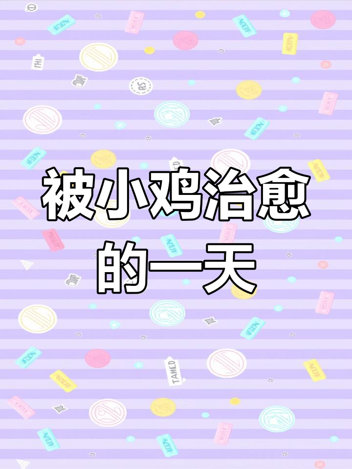 小鸡仔的治愈力,太可爱了!