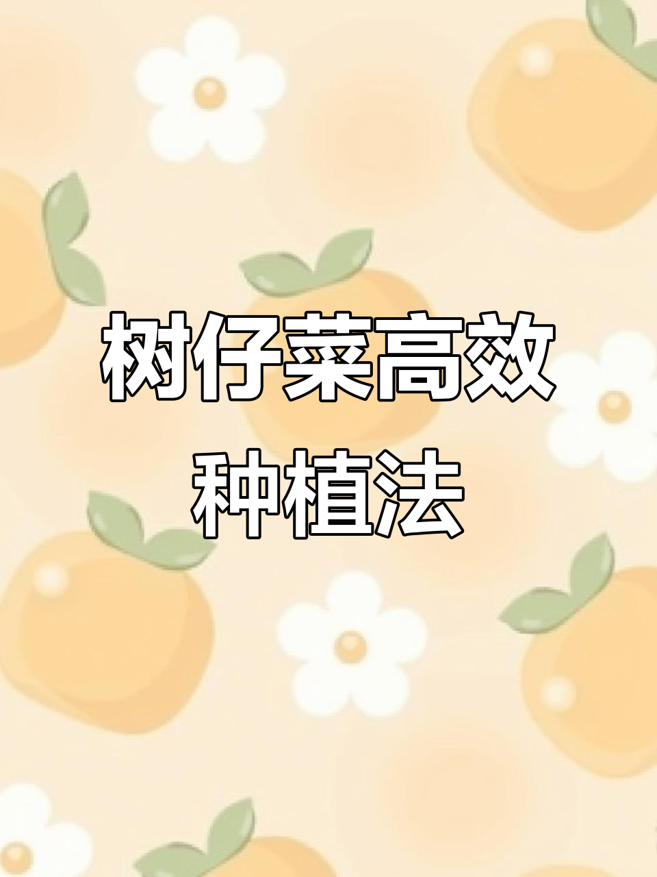 树仔菜种植技巧:浇水、插苗全攻略