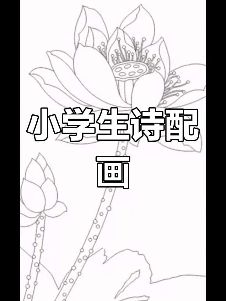 三年级语文诗配画,手抄报展示