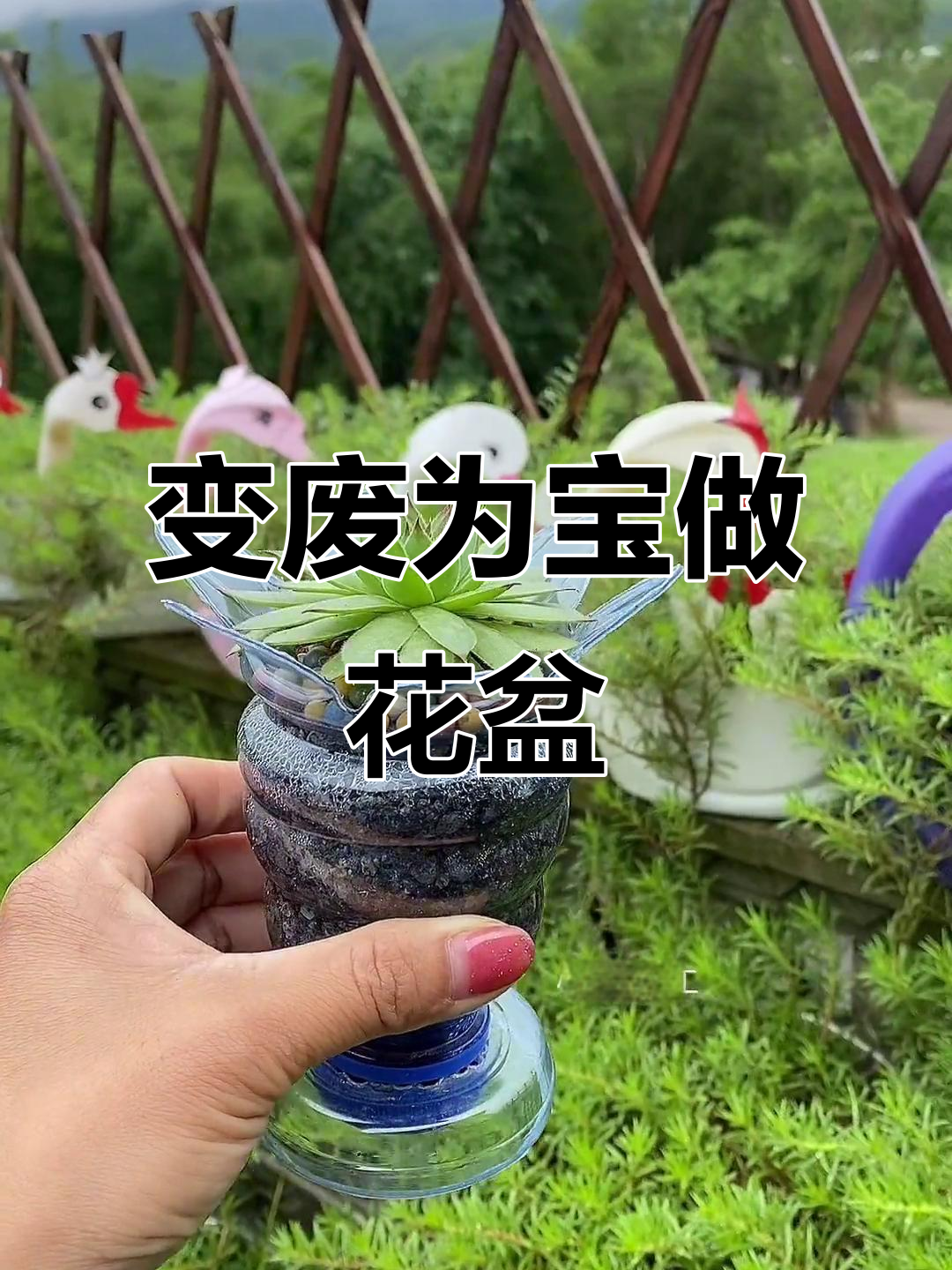 废旧瓶子变花盆，简单操作打造个性多肉种植器