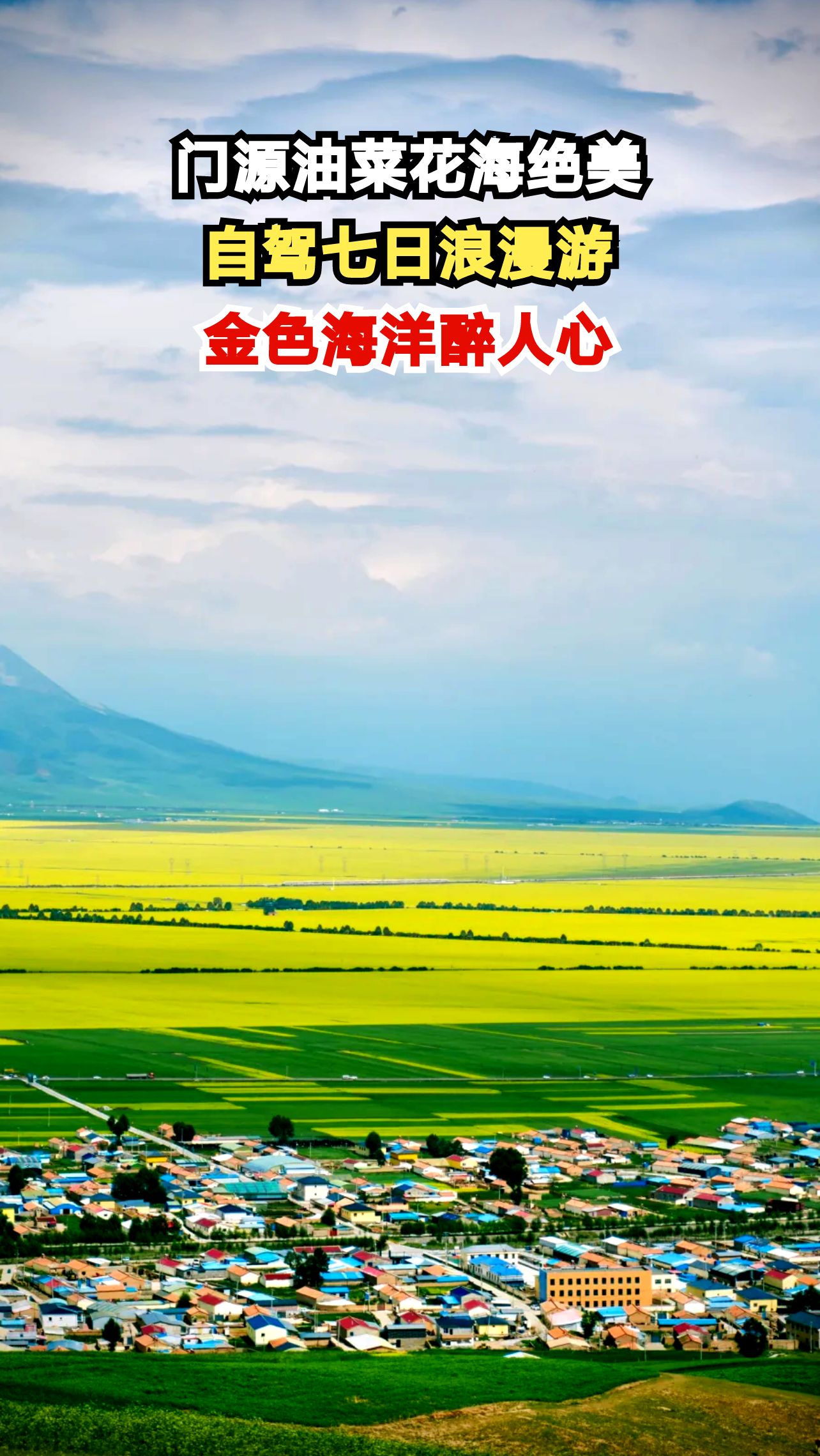 青海门源60万亩油菜花盛开，金色花海与雪山相映成趣，你想来打卡吗？