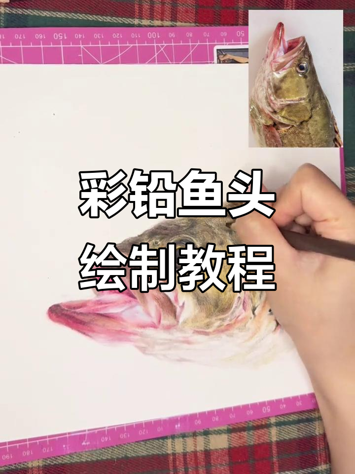 用彩铅画鱼头，竟然能这么逼真！红烧还是剁椒任你选