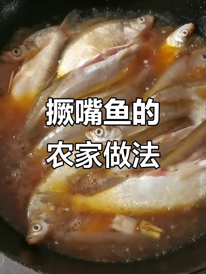 撅嘴鱼家常炖法,配山药饼子一锅出