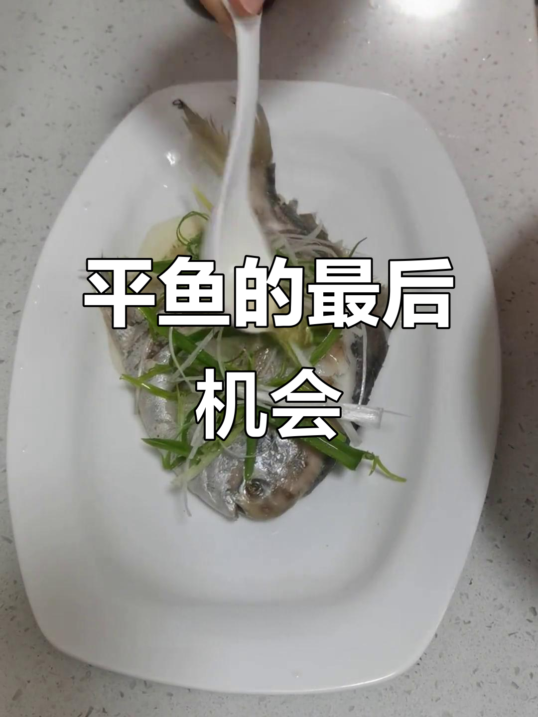 最后一波平鱼,清蒸最美味!