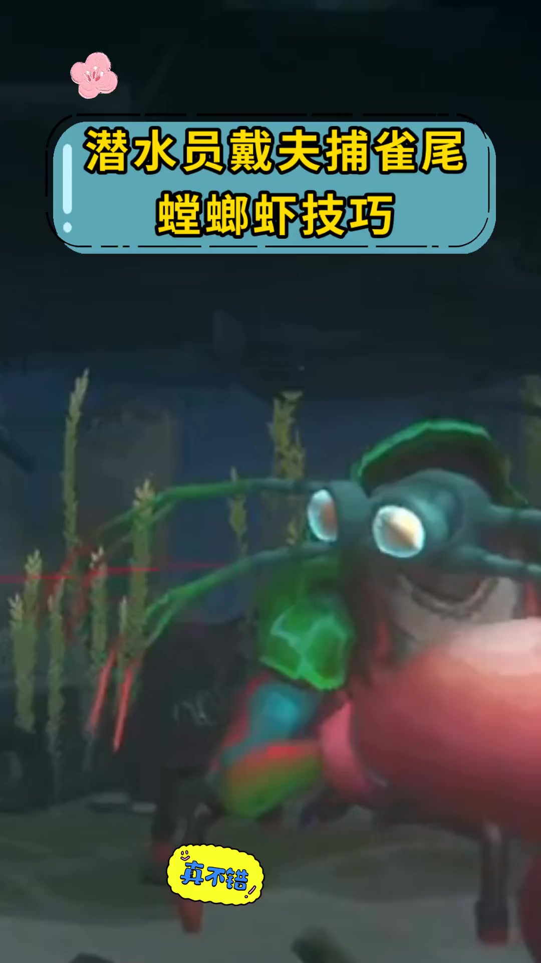 潜水员戴夫捕雀尾螳螂虾技巧