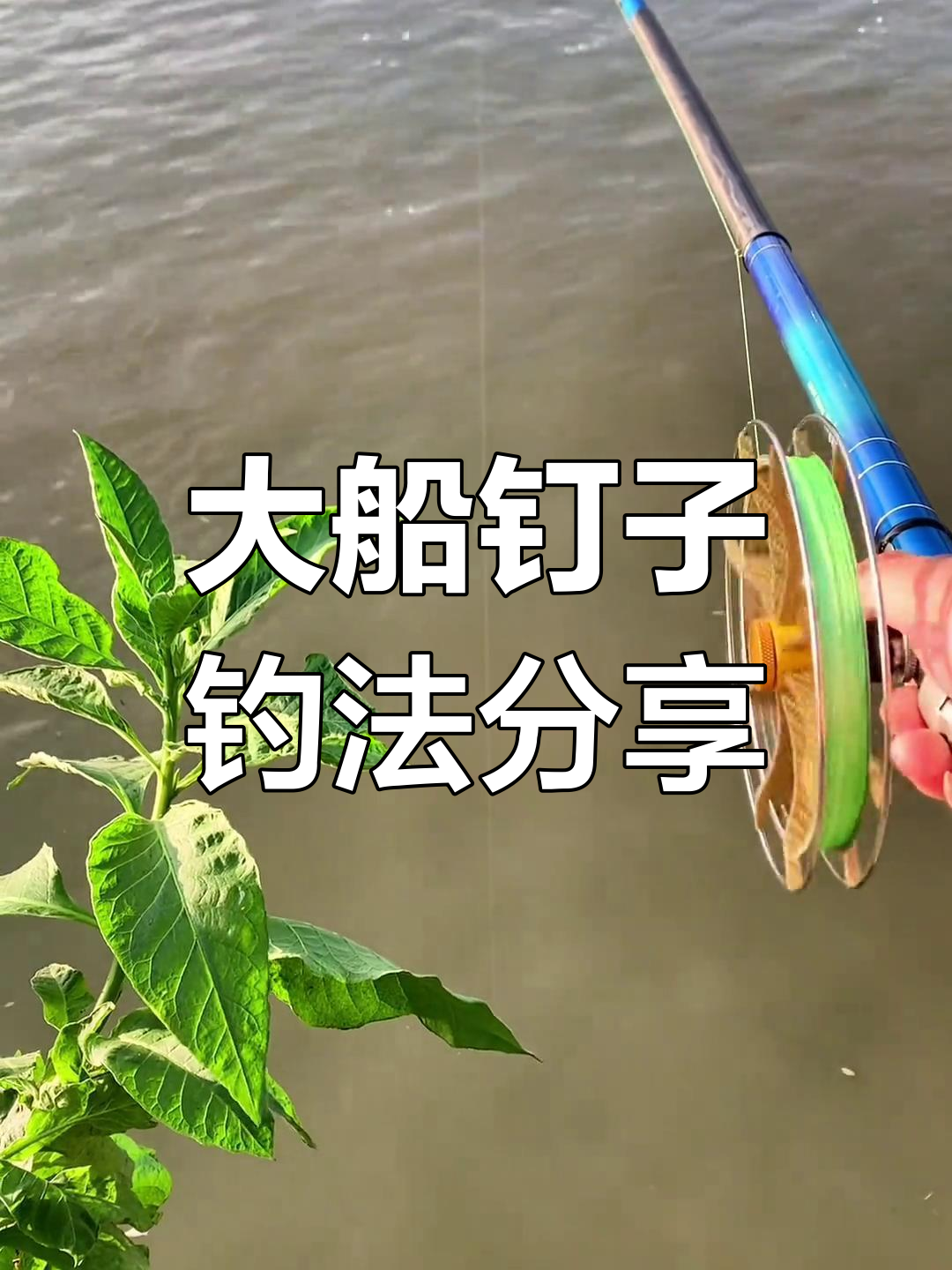 钓大船丁子必备装备与技巧,轻松掌握闷竿钓法