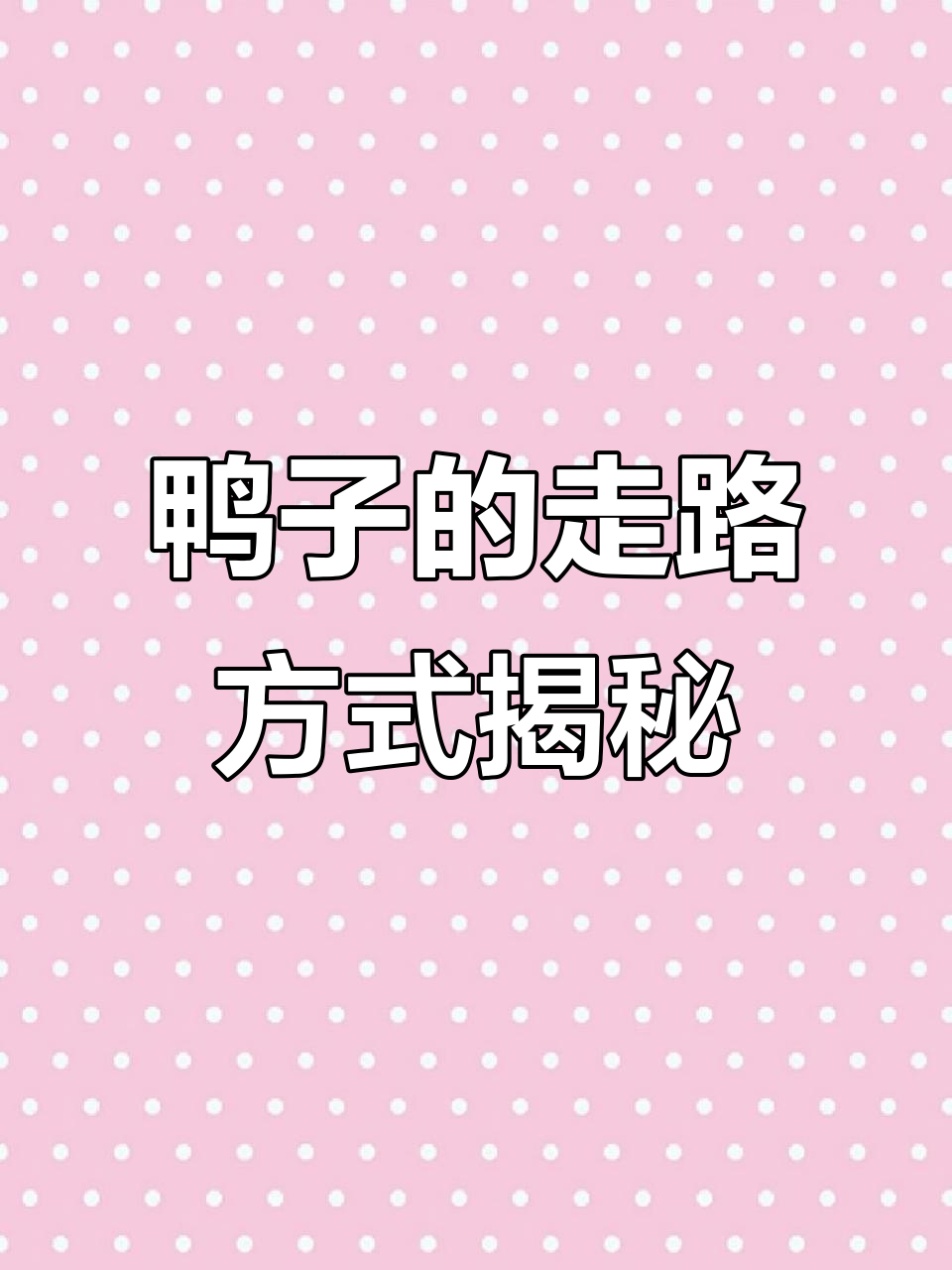 鸭子走路一摇一摆的秘密,竟然是为了保持平衡!