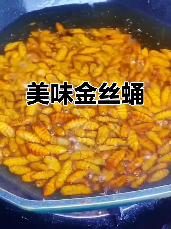 金丝蛹饱满鲜美,煎炒炸皆宜,口感绝佳!