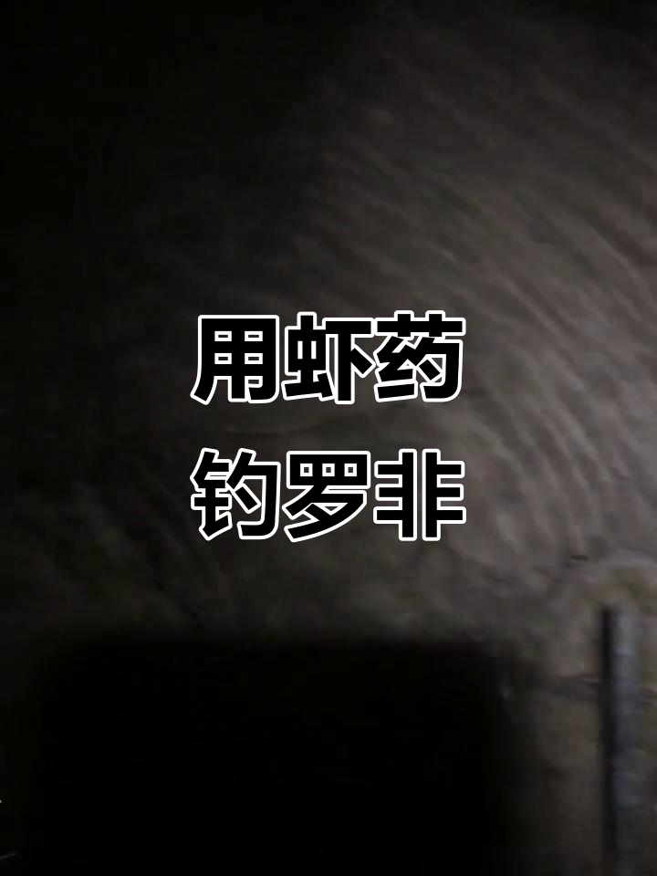 广东降温钓鱼难?试试虾药钓罗非翘嘴,轻松抓获!