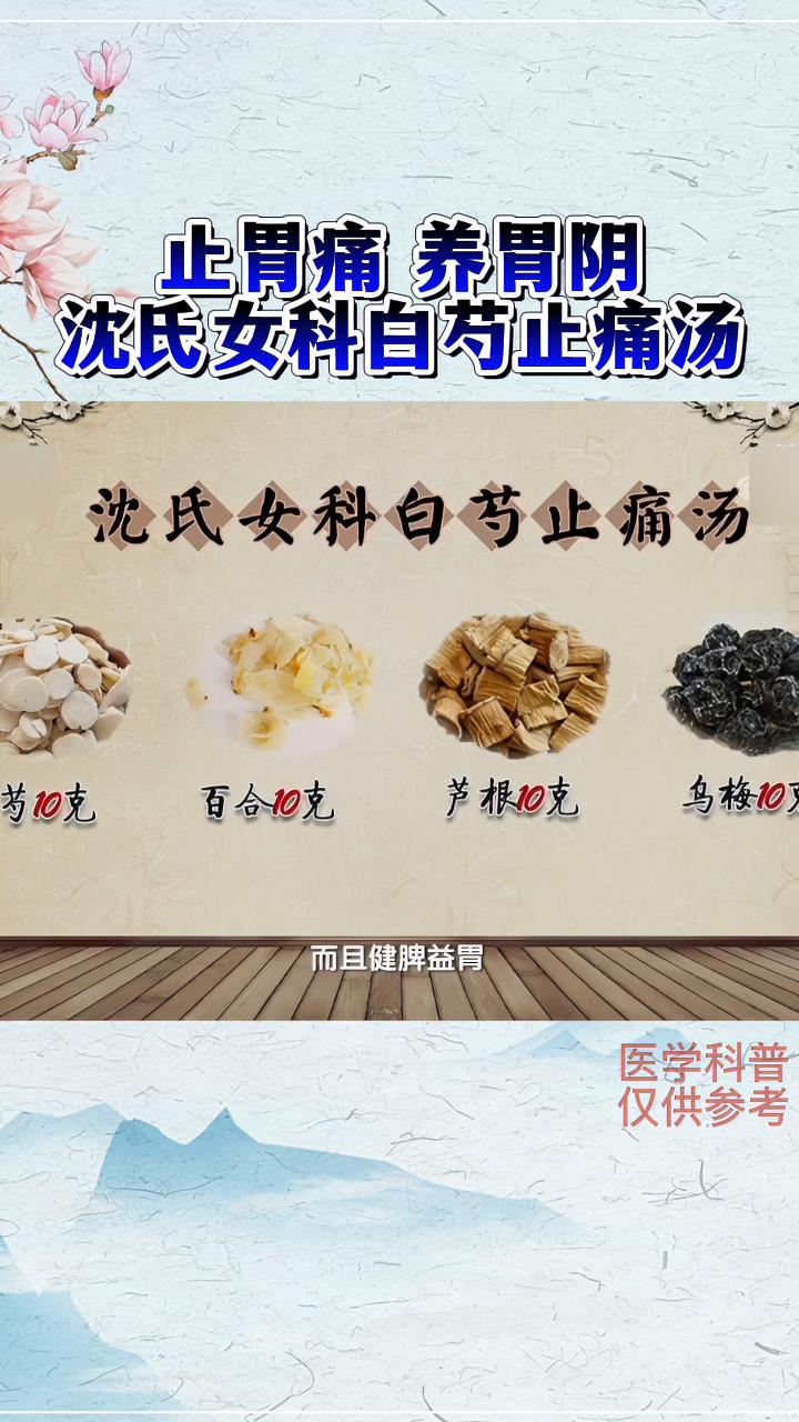 止胃痛,养胃阴——沈氏女科白芍止痛汤 中医 养胃护胃 胃痛