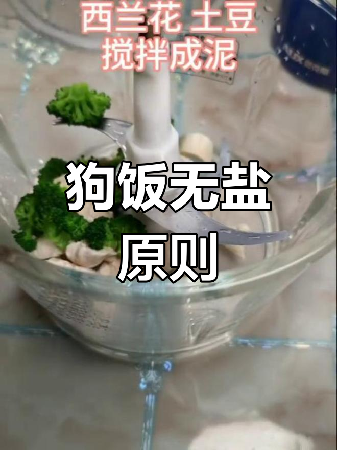 狗狗饮食无需盐,做饭时记得别加哦!