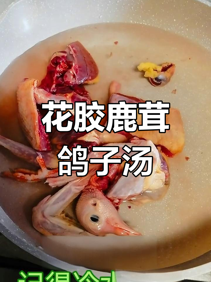 老公滋补汤,花胶鹿茸高丽参炖鸽子,营养满满