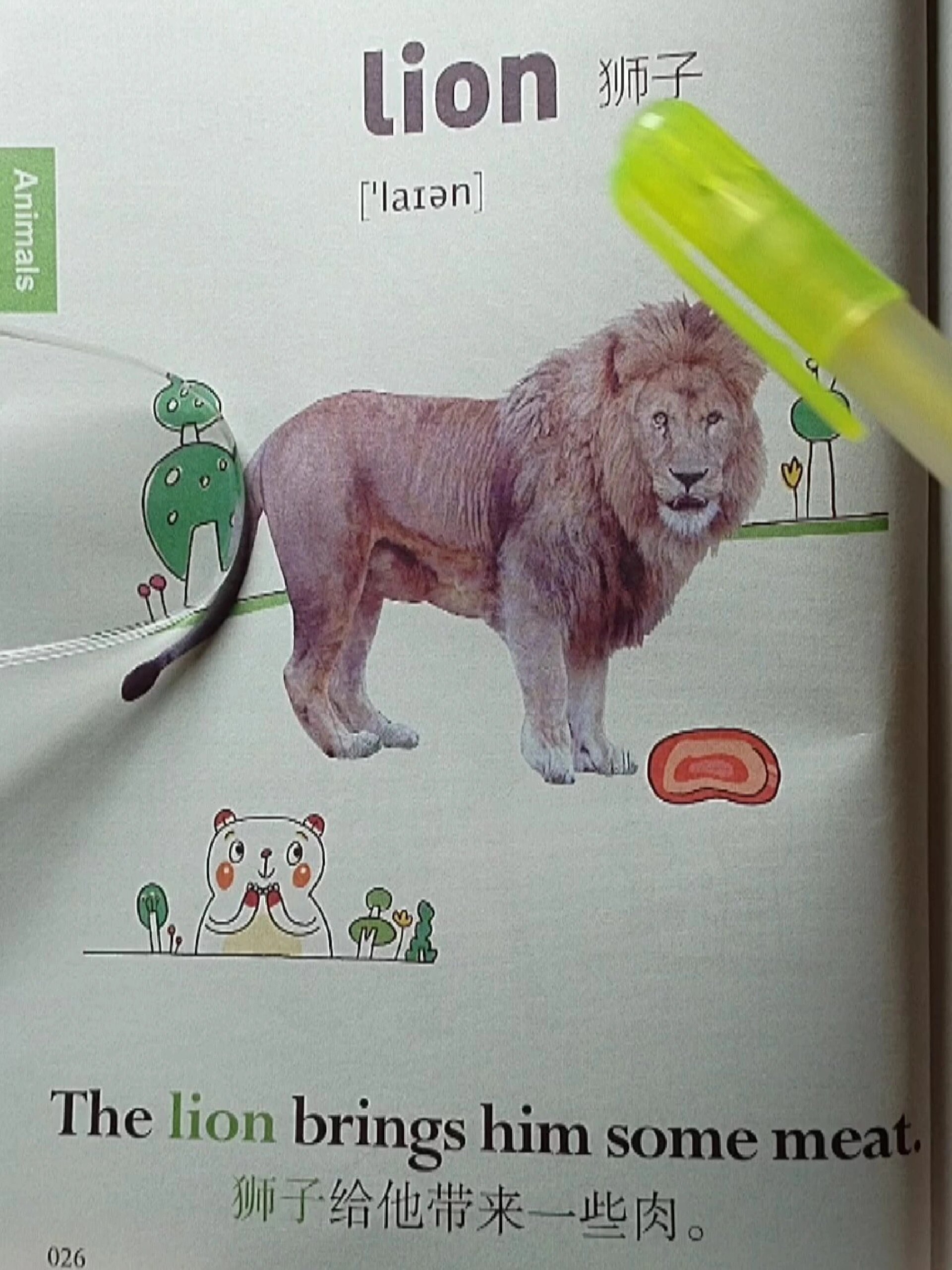 狮子英文怎么说