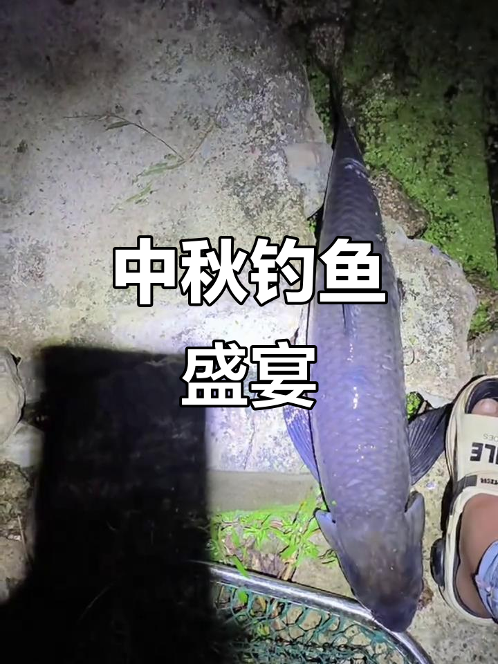 中秋佳节,杨庄水库邀你共钓大鱼,20米深水超刺激!