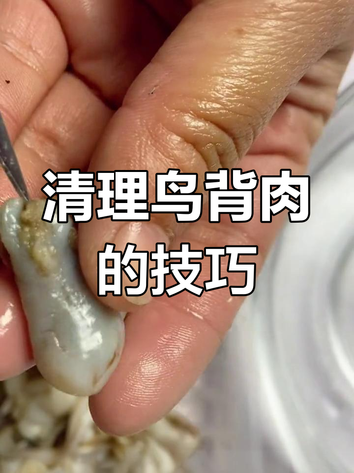 如何清洗鸟贝肉