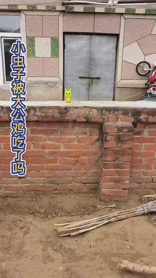 小虫子被大公鸡吃了吗