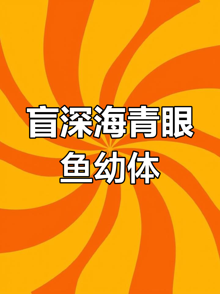 深海青眼鱼幼体揭秘:半透明蓝色,游动方式独特