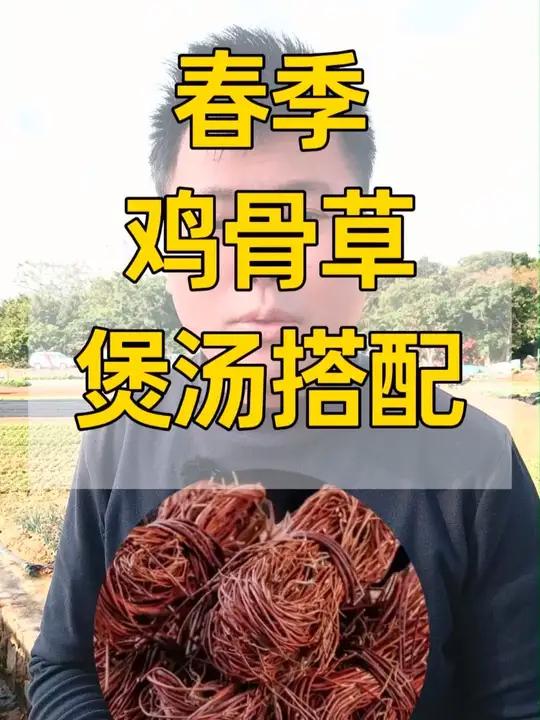 春天马上来，鸡骨草甘搭配 春天马上来，鸡骨草甘搭配，第一款鸡骨草茯苓薏米猪骨汤，4人量：猪