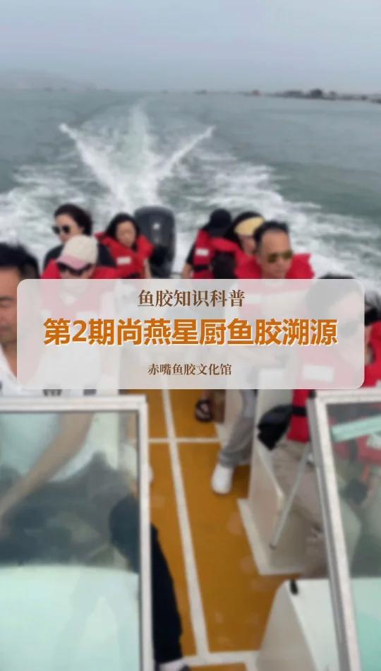 第2期鱼胶产地溯源考察班