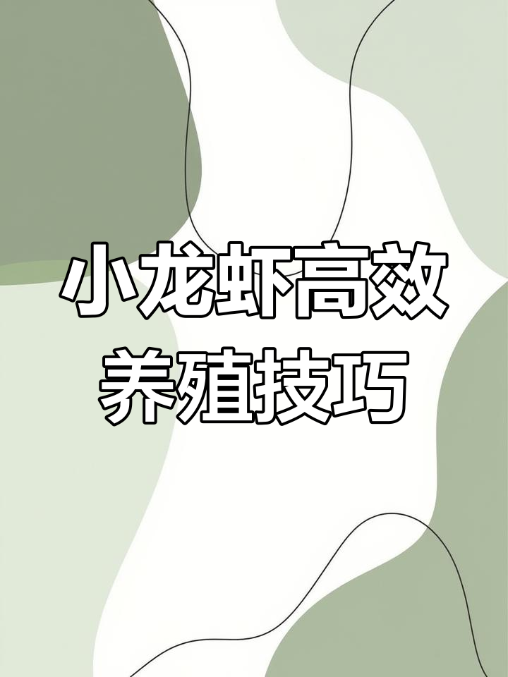 精养塘与稻虾塘养殖模式解析,如何实现亩产五百斤小龙虾