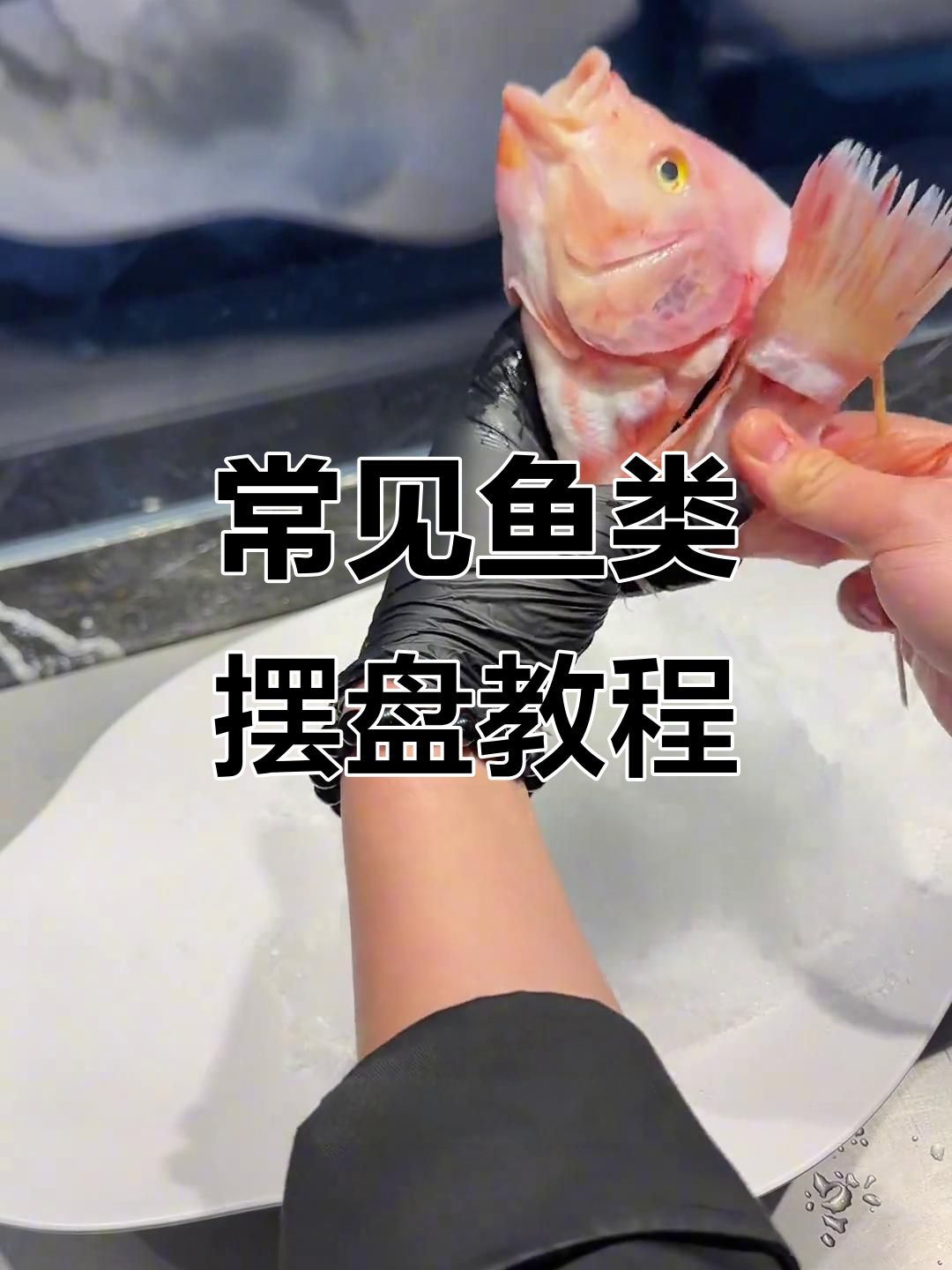 轻松学会鱼类摆盘技巧,完美呈现海鲜魅力