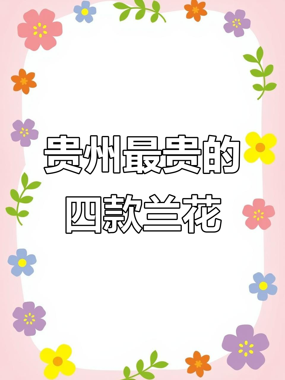 贵州四大名贵兰花揭秘:蕙兰、天翼与龙兰的传奇价格
