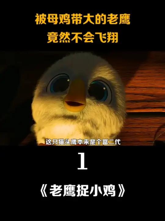 被母鸡带大的老鹰,竟然学不会飞翔:《老鹰捉小鸡》老鹰捉小鸡童年的回忆 老鹰抓小鸡 3-6岁