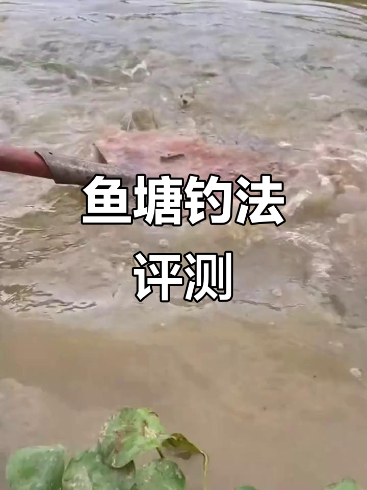 鱼塘测试:钓鱼技巧与装备大揭秘