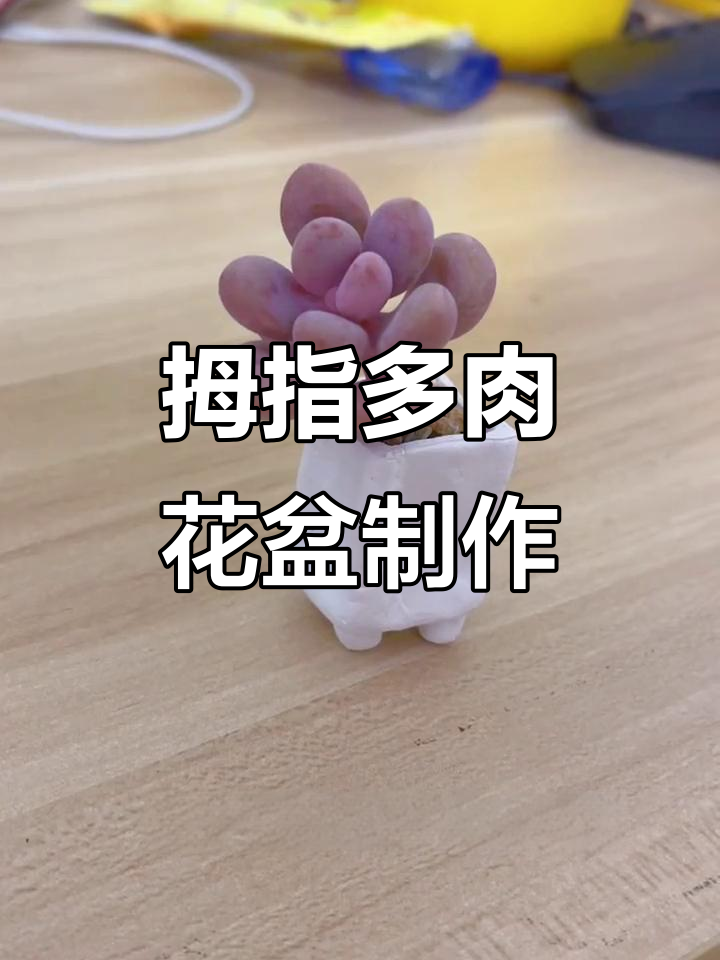 用粘土做迷你多肉花盆，超可爱又透气