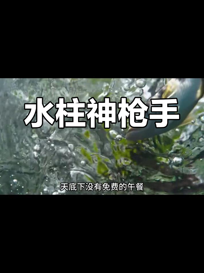 射水鱼:精准猎食的神奇技能,竟是后天学会!