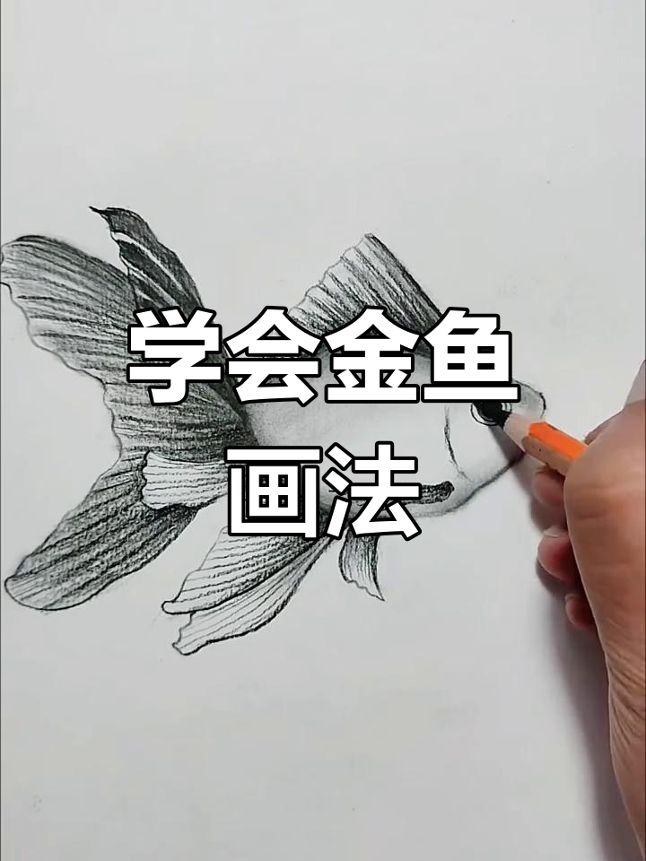 金鱼画法大揭秘,轻松掌握这些技巧