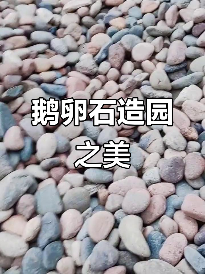 彩色鹅卵石,园林造景必备,溪流假山皆宜