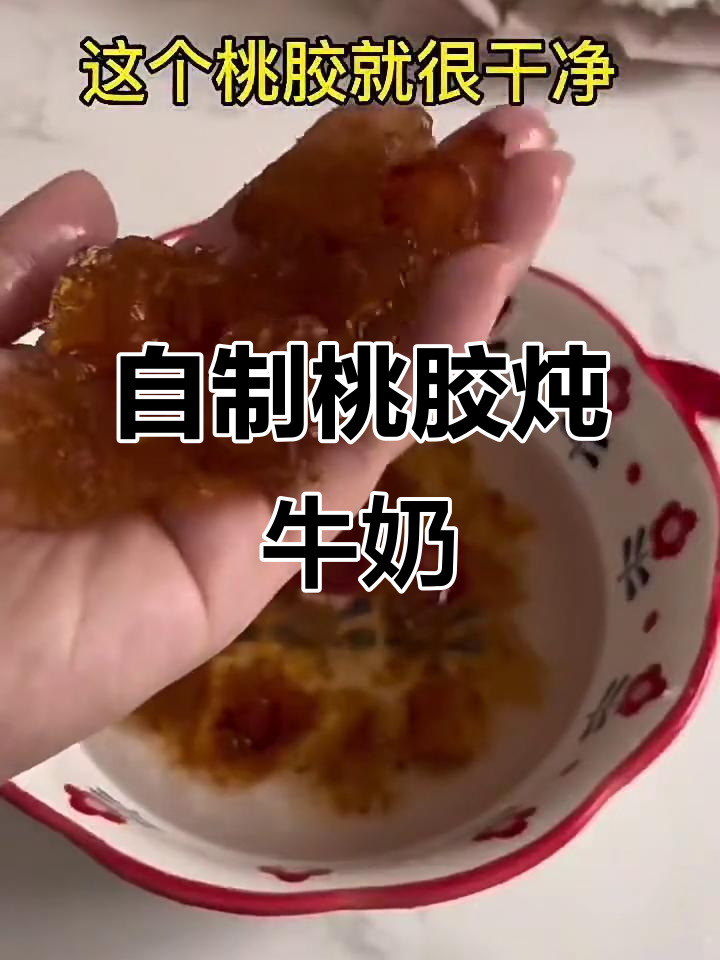 教你做正宗桃胶炖奶,简单又美味
