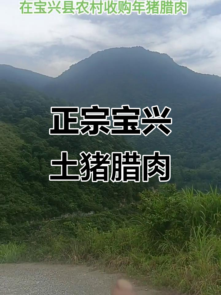 四川宝兴县农村年猪腊肉,正宗土猪肉大揭秘