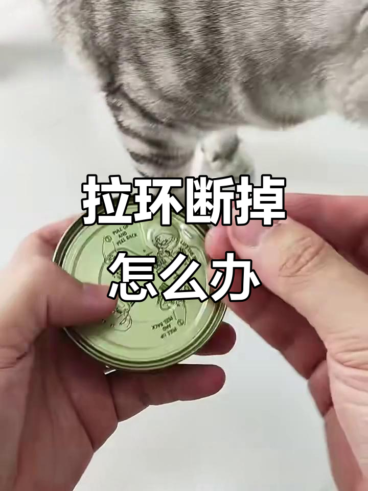罐头拉环断了?教你一招轻松打开!