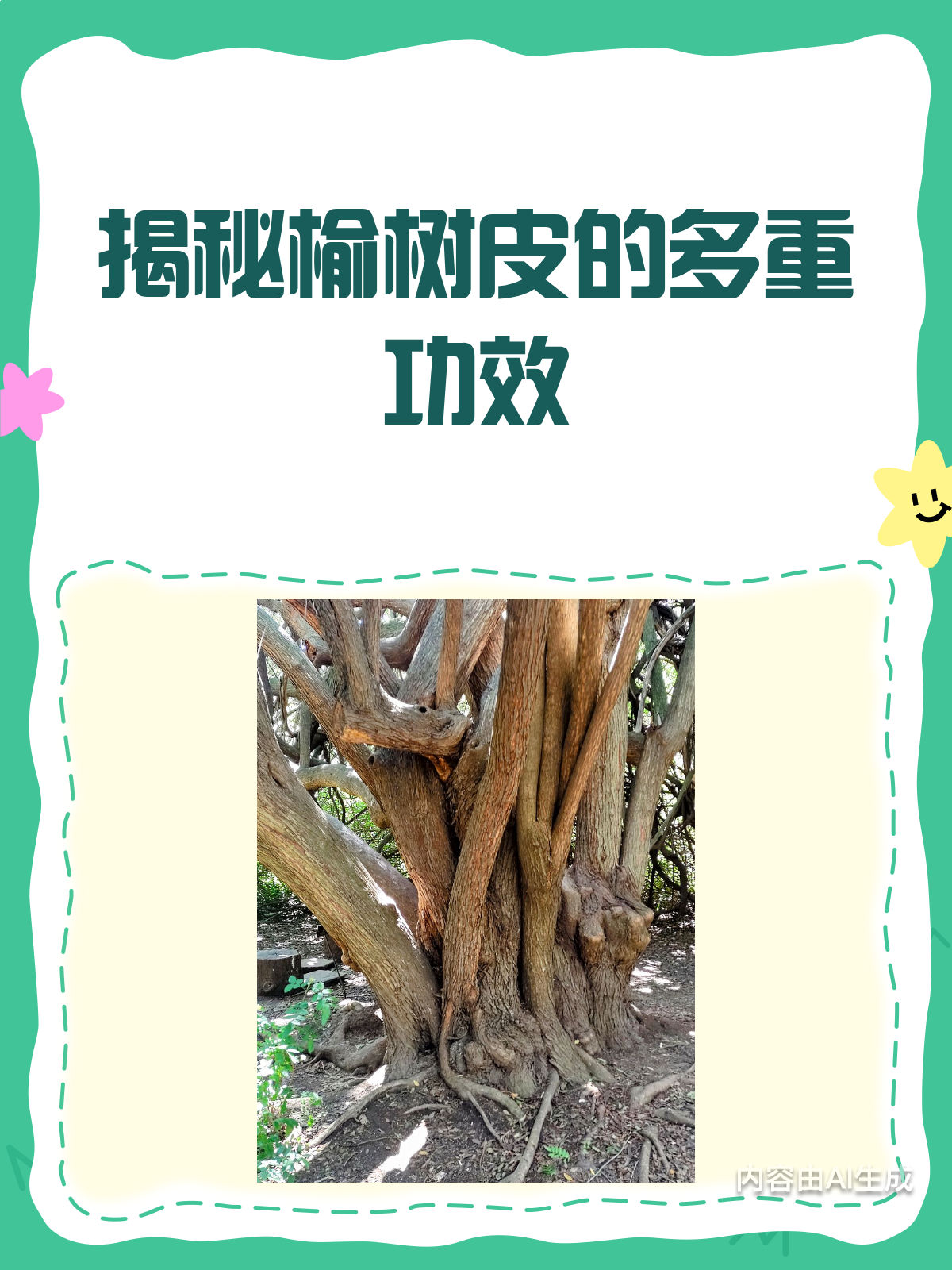 榆树皮居然这么神奇?揭秘它的功效与作用!