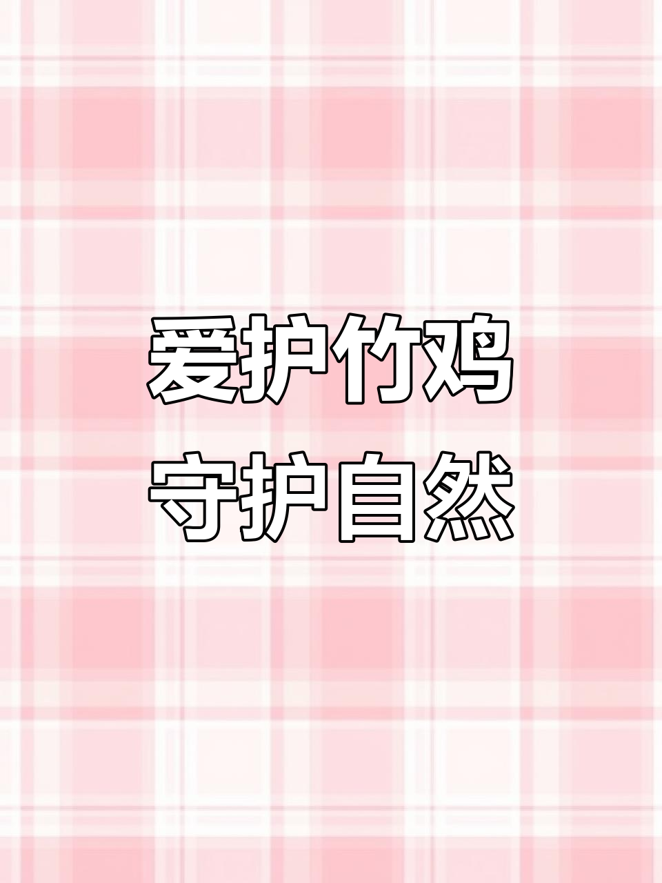 关爱竹鸡,保护野生动物,共建和谐家园