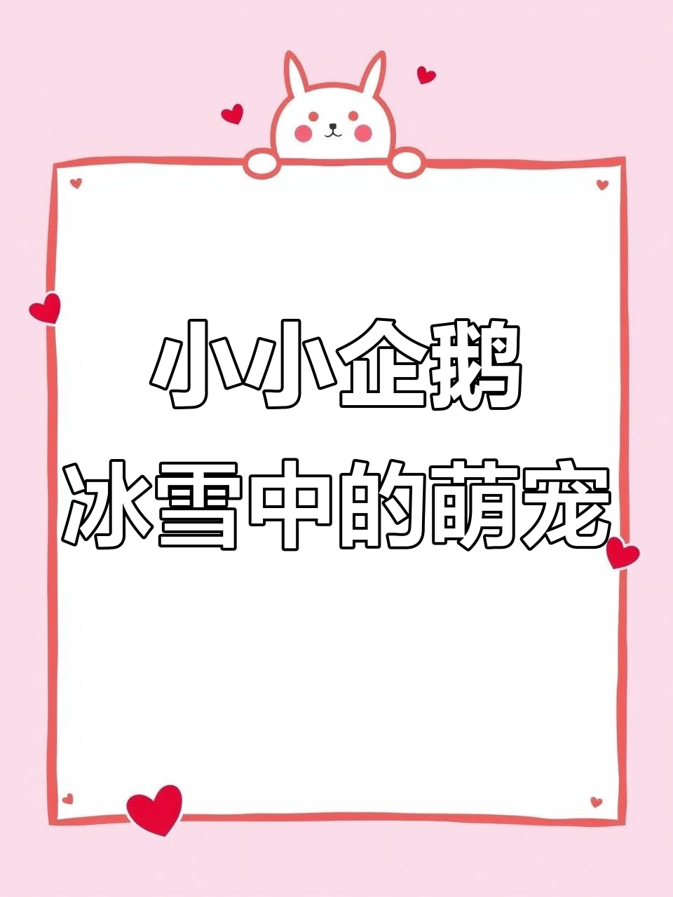 企鹅的南极生活:可爱又有趣的冰上舞者