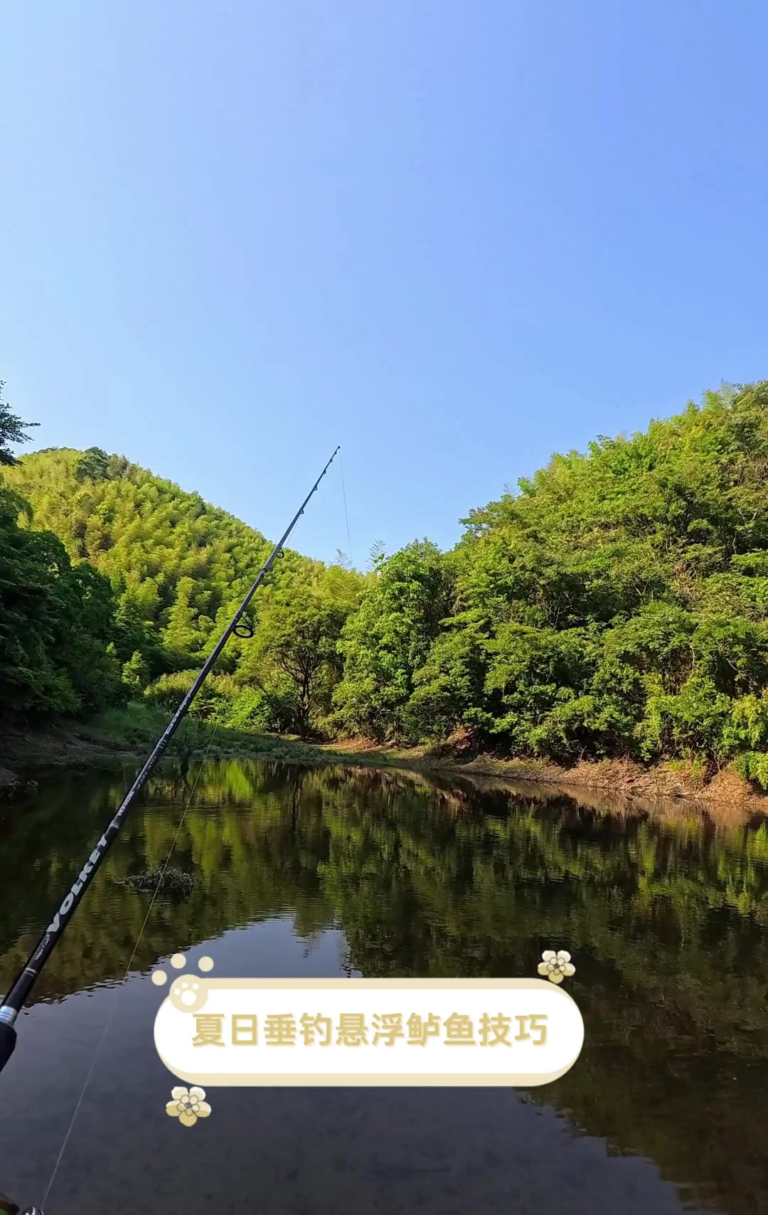 夏日垂钓悬浮鲈鱼技巧