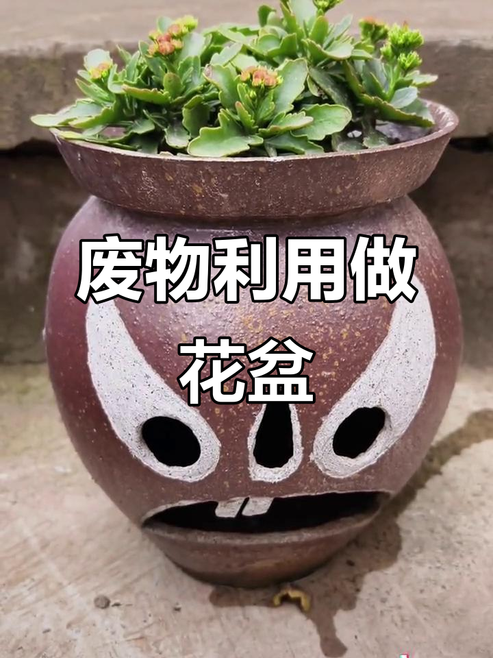 废旧泡菜坛变身花盆，创意无限乐趣多