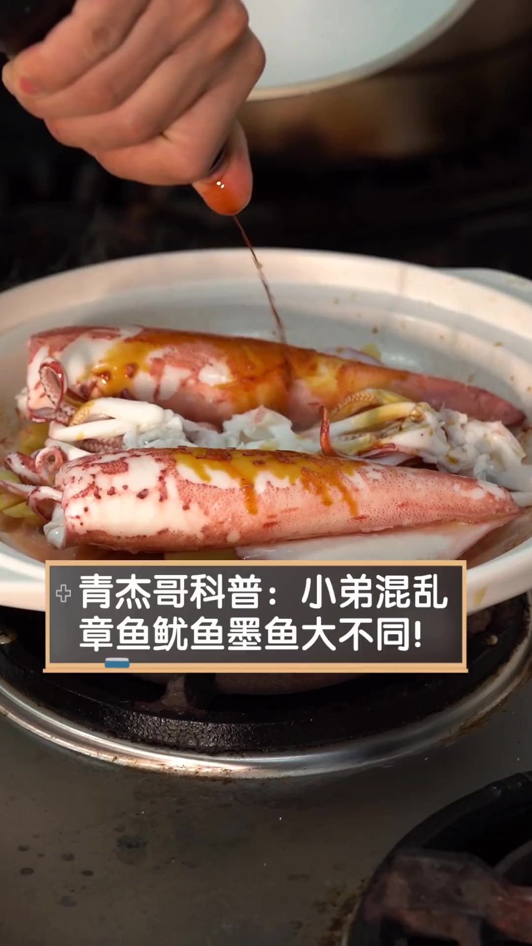 青杰哥科普:小弟混乱,章鱼鱿鱼墨鱼大不同!