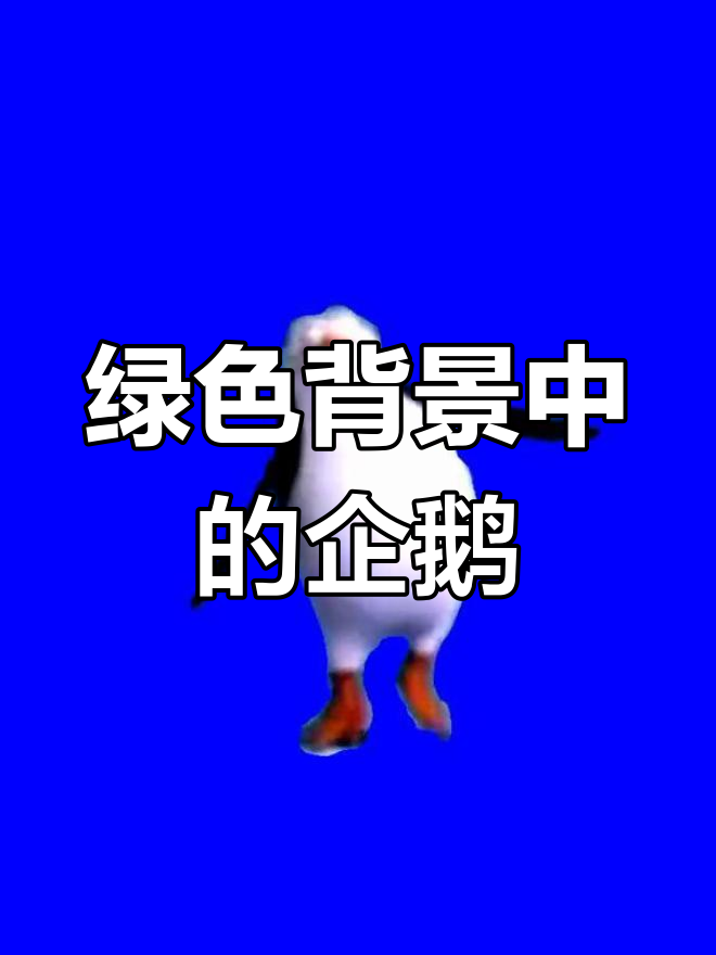 企鹅绿幕素材