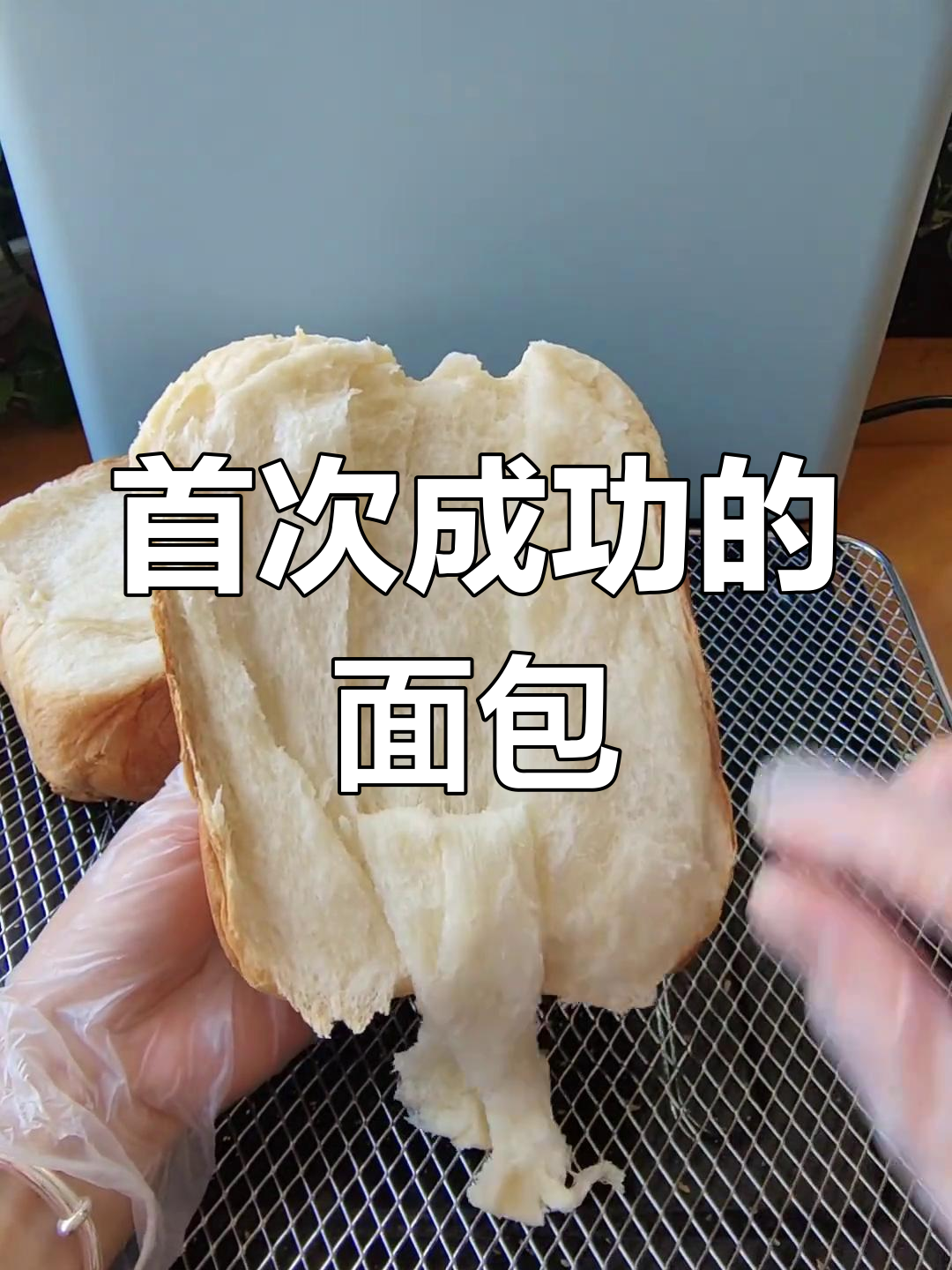 第一次做面包,波兰种配方超成功!柔软拉丝,口感绝佳!