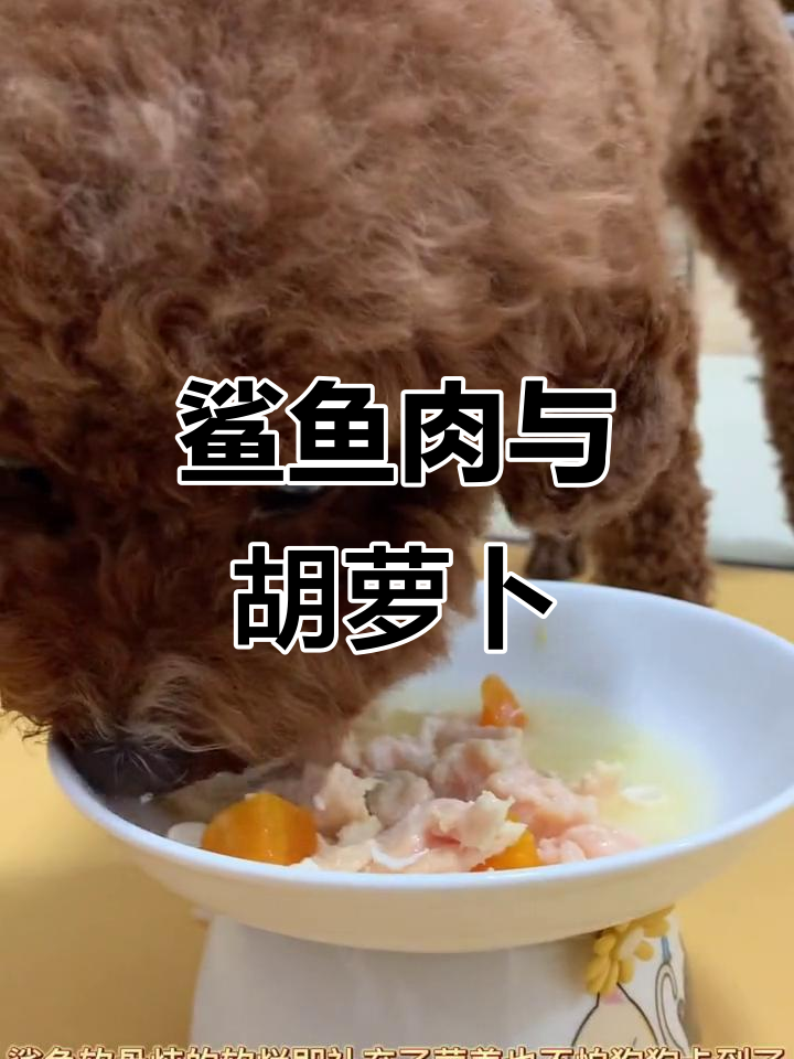 鲨鱼骨炖鸡肉,营养满满又美味